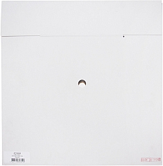 Упаковка сегментных алмазных кругов Diam Master Line 1A1RSS Гранит 450 мм